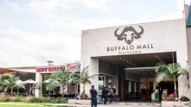 buffalo-mall