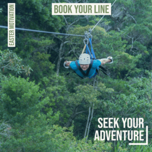 Deep Forest Zip-line Adventure