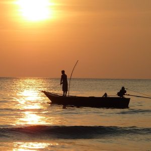 fishing, sea, sunset-209112.jpg